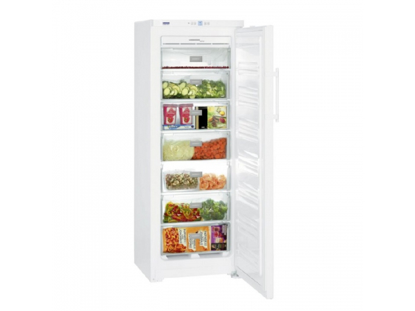 Freezer + chest freezer GNP2713