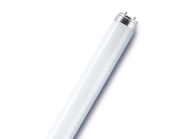 Osram T8-Leuchtstofflampe Leuchtmittel